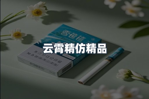 云霄精仿精品